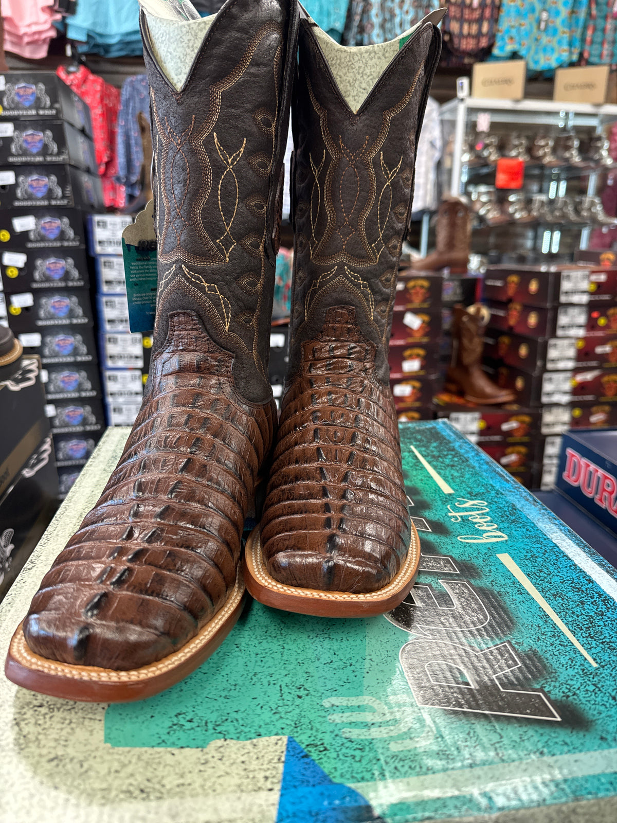 Reparo TX Brown caiman tail print men’s boots