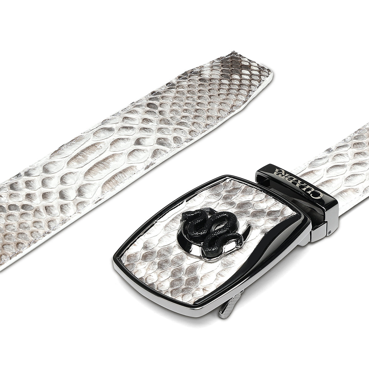 CUADRA BELT PYTHON BACK PLUNG NATURAL -BC482